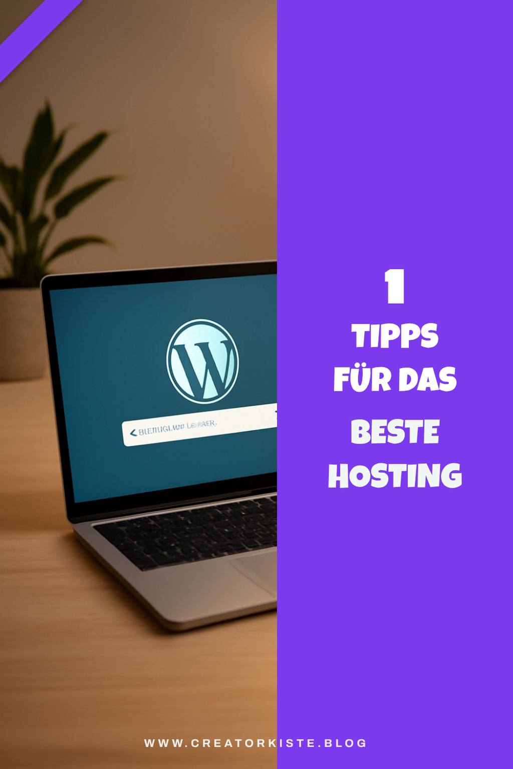 So findest du das beste WordPress-Hosting für Einsteiger