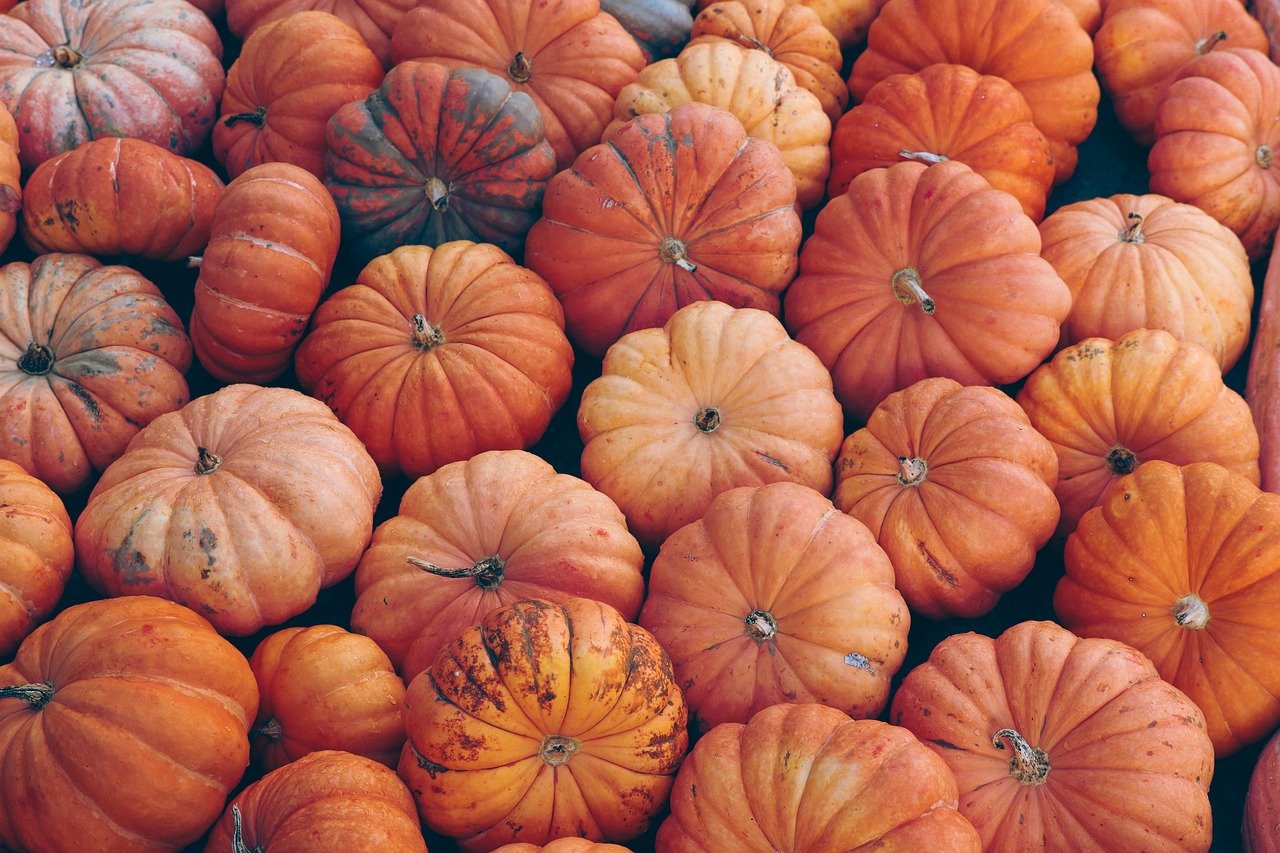 Herbst und Halloween Content Kalender erstellen — Hero-Aufnahme