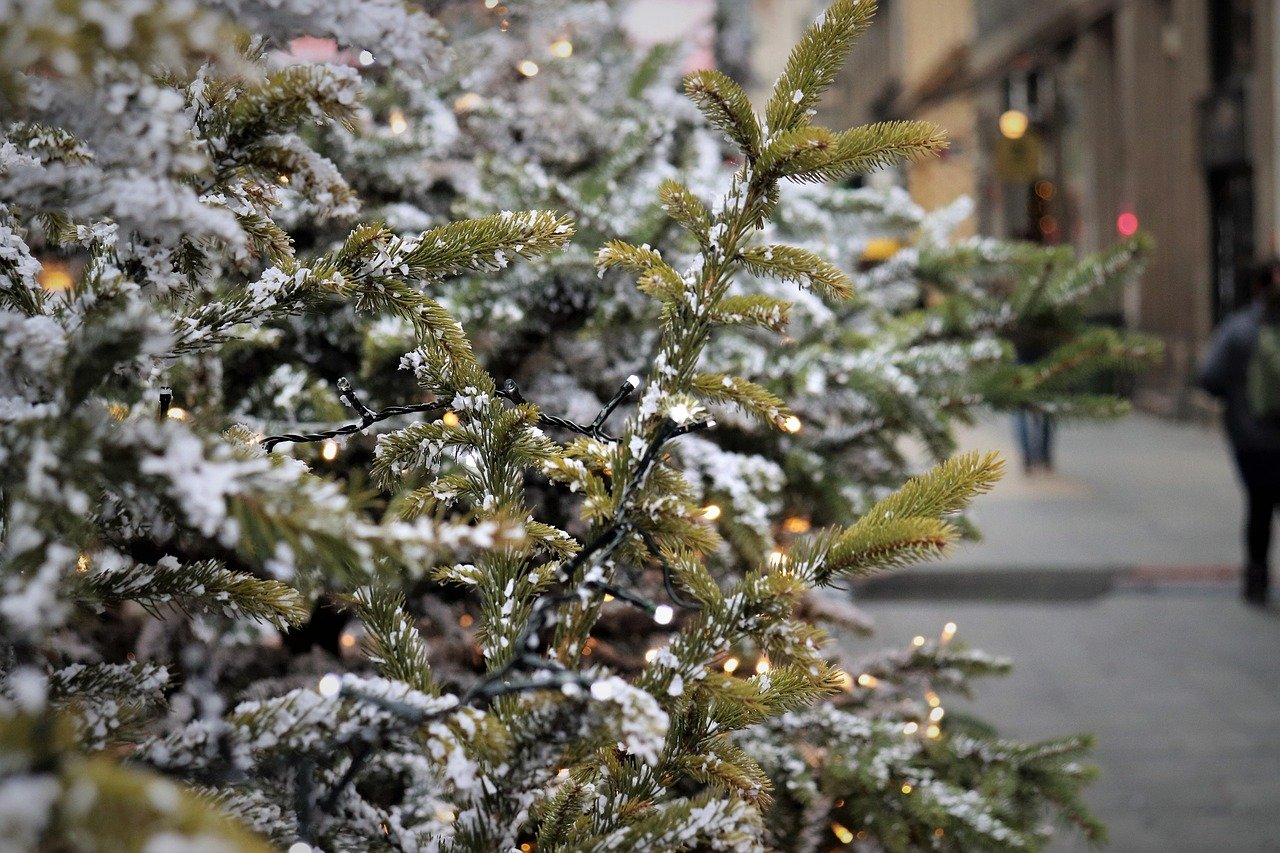 Weihnachtliche Videoideen für Familienkanäle — Hero-Aufnahme