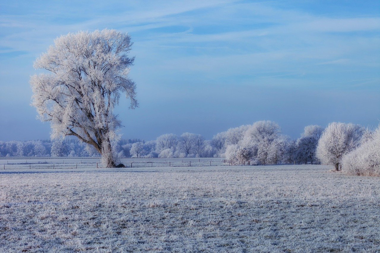 Winterliche Farbpaletten für den Feed: einfach erklärt — Hero-Aufnahme